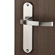 ALPERTEC - Ensemble sur plaque Isola nickel mat bec de cane - vignette