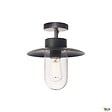 SLV - Plafonnier extérieur SLV MOLAT, anthracite, E27, 60W max, IP44 - vignette