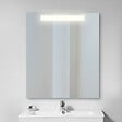 EMUCA - Emuca Miroir de salle de bain Pegasus avec éclairage frontal LED, rectangular 600 x 700 mm, AC 230V 50Hz, 6 W, Aluminium et Verre. - vignette