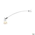 SLV - Spot sur tige intérieur blanc SLV DISPLAY ADL 50, GU10/QPAR51, 50W max - vignette