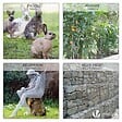 VOUNOT - Grillage a poule avec fils 13mm en acier galvanise 1x25M - vignette