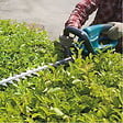 MAKITA - Taille-haie MAKITA UH5570 Semi-Pro 550 W 55 cm - vignette