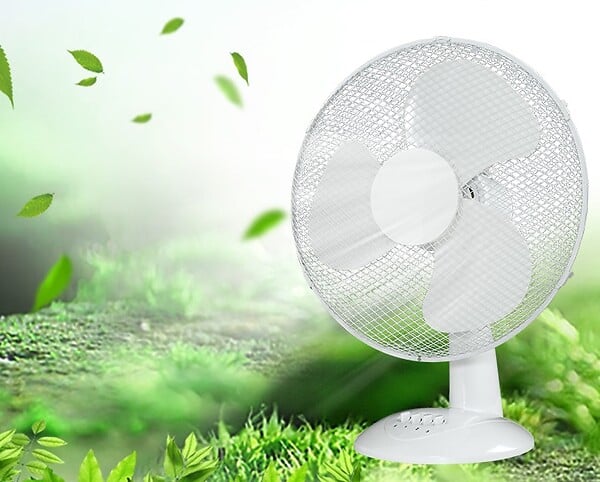 Ventilateur de table - 30 cm - 40W - 3 vitesses - large