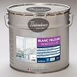 THEODORE PEINTURES - Peinture acrylique velours monocouche - Blanc - 10L - vignette