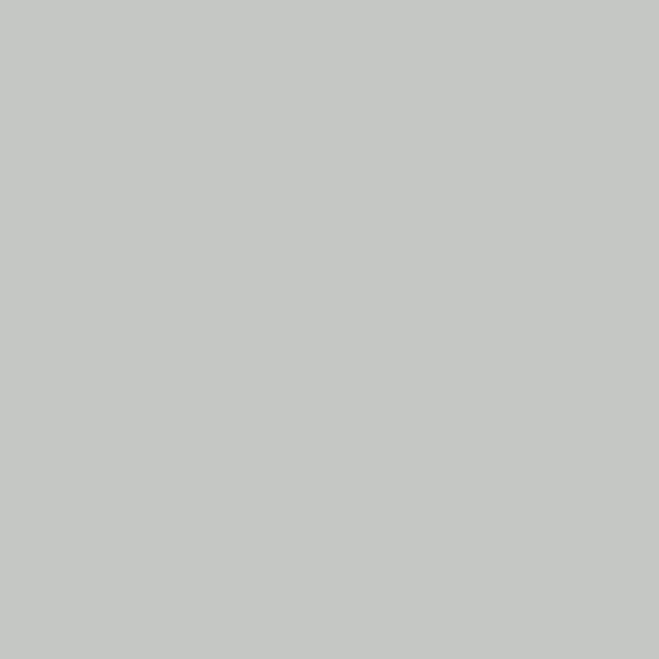 JULIEN - Peinture extérieure multi-matériaux Satin - Gris Clair 0,5L - large