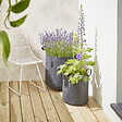 CERLAND - Sac de plantation géotextile Bag4Plant Gris anthracite 12,3L - vignette