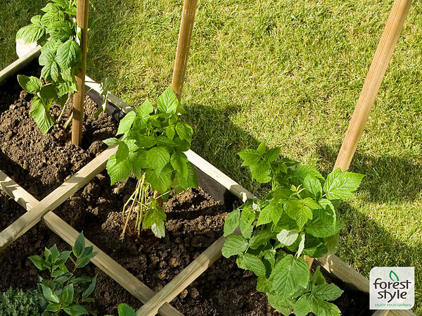 CERLAND - Tuteur tomates bois lot de 6 - Vert - 150cm - large