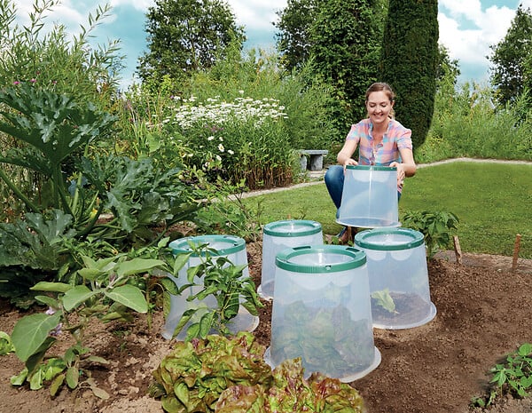 GARANTIA - Kit 3 cloches jardin Sunny - Protection antigel - 35x35cm - large