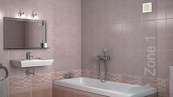 LEMAN - Fer de Degauchisseuse 260x20x2,5 Carbure Leman - large