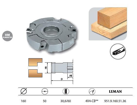 LEMAN - Porte-outils feuillure extensible diam. 160 Al.50 Ht. 30,6/60 z4+V4 coupe biaise 951.9.160.51.36 Leman - large