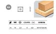 LEMAN - 10 Plaquettes réversibles au carbure 14x14x2mm 4 coupes 0014.1420.00 Leman - vignette