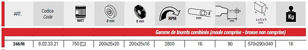 FEMI - Touret/polisseuse 750W 230V Diam 200 mm avec meule et sans brosse 246/M Femi - large