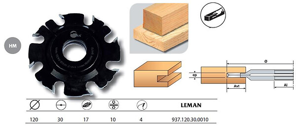 LEMAN - Fraise à  Rainer Intermediaire D.120 Al.30 Ep.10 Z4 Hm Leman - large