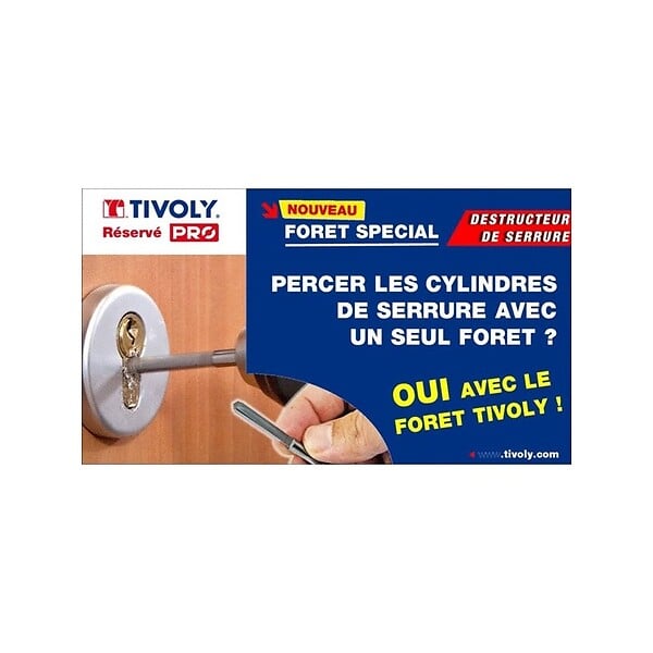 TIVOLY - Destructeur de cylindre carbure diamètre 6 mm 82400110001 - large