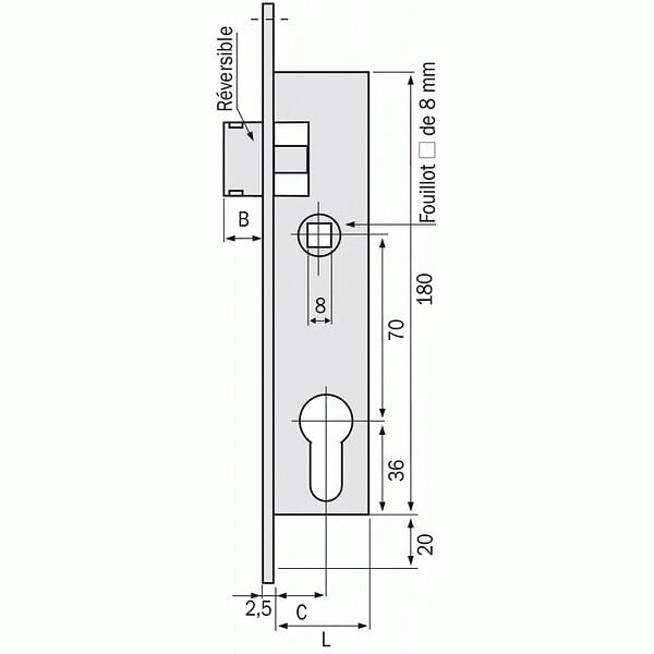 METALUX - Serrure à larder 1 point bec-de-cane à cylindre européen axe 21 mm - Pour gâche électrique Métalux 9 - large