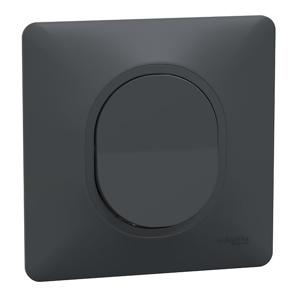 SCHNEIDER ELECTRIC - Bouton poussoir monobloc - Ovalis - Anthracite - 10A - large