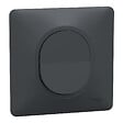 SCHNEIDER ELECTRIC - Bouton poussoir monobloc - Ovalis - Anthracite - 10A - vignette