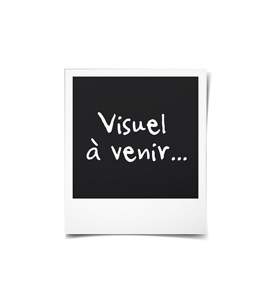 THOMSON - Disjoncteur à vis PH+N - 32A NF - Pouvoir de coupure 4,5KA - Thomson - large
