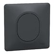 SCHNEIDER ELECTRIC - Ovalis - Obturateur - Monobloc - Anthracite - vignette