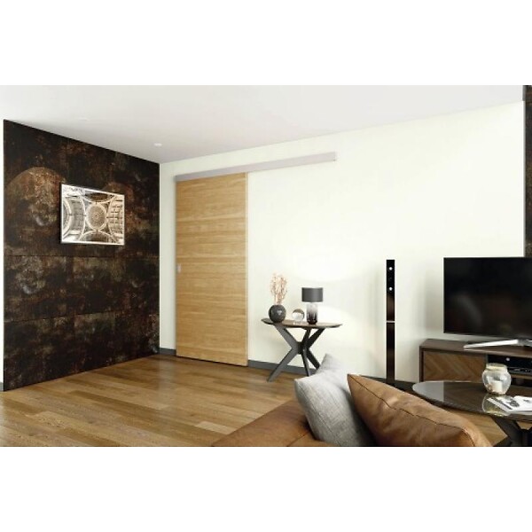MANTION - Amortisseur SAF Slim  porte de 20 à 60 kg  M66S - large