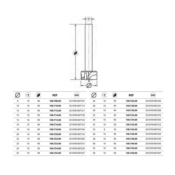 LEMAN - Mèche à  façonner au carbure à  fond plat Leman PRS00100 - large