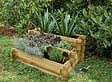 CERLAND - Carré potager étagé Pin ANGELIC - 3 niveaux 800x600x400mm - vignette