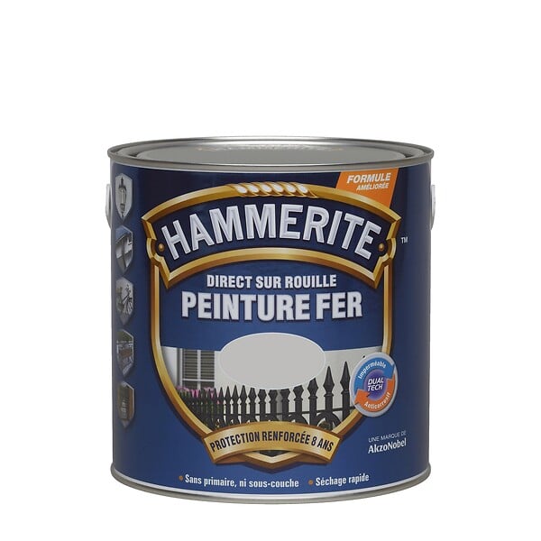 HAMMERITE - Peinture fer Direct sur Rouille - Brillant Argent - 0,25 L - large