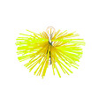 LEMAN - Herisson Rond D.180 Synthetique Leman - vignette