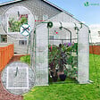 VOUNOT - Serre de jardin avec etageres et bache PE renforcee 135g/m2 143x143x195cm - vignette