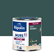 RIPOLIN - Peinture RIPOLIN Deco Velours murs boiseries radiateurs vert arm 0,5L - vignette