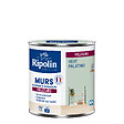 RIPOLIN - Peinture RIPOLIN Deco Velours murs boiseries radiateurs vert pala 0,5L - vignette