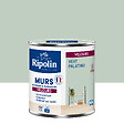 RIPOLIN - Peinture RIPOLIN Deco Velours murs boiseries radiateurs vert pala 0,5L - vignette