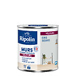 RIPOLIN - Peint RIPOLIN Deco Velours murs boiseries radiateurs gris souris 0,5L - vignette