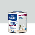 RIPOLIN - Peint RIPOLIN Deco Velours murs boiseries radiateurs gris souris 0,5L - vignette