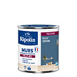 RIPOLIN - Peint RIPOLIN Deco Velours murs boiseries & radiateurs bleu seram 0,5L - vignette