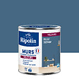 RIPOLIN - Peint RIPOLIN Deco Velours murs boiseries & radiateurs bleu seram 0,5L - vignette