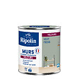 RIPOLIN - Ripolin deco vel vert ficus 0,5l - vignette