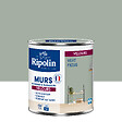 RIPOLIN - Ripolin deco vel vert ficus 0,5l - vignette