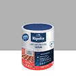 RIPOLIN - Revêtement étanchéité toiture acrylique - Gris ciment - 0,75L - vignette