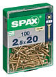 SPAXFRANCE - Vis à bois en acier - 100 pièces - Diam.2,5xH.20mm - vignette