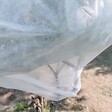 SUAN - Voile d'hivernage - Blanc - Dimensions : 1 m x 10 m - vignette
