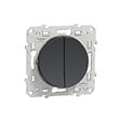 SCHNEIDER ELECTRIC - Double poussoir Odace - Anthracite - 10A - vignette