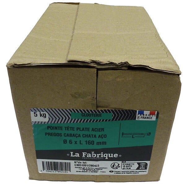 LFP - pointe tête plate 6x160mm - 5 kg - large