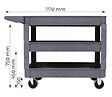 STOCKMAN - Servante d'atelier plastique 250kg - STOCKMAN - UB253 - vignette