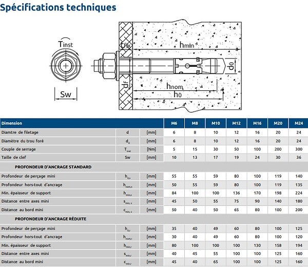 RAWL - Goujons d'ancrage pour béton non fissuré 6X50 boîte de 100 - RAWL - R-XPT-06050/10 - large