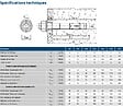 RAWL - Goujons d'ancrage pour béton non fissuré 6X50 boîte de 100 - RAWL - R-XPT-06050/10 - vignette