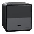SCHNEIDER ELECTRIC - Bouton poussoir lumineux LED - Mureva Styl - Anthracite - 10A - IP55 - vignette