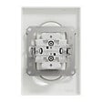 SCHNEIDER ELECTRIC - Prise électrique double 2P+T Odace - Blanc - 16A - vignette