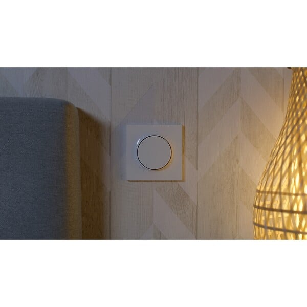 SCHNEIDER ELECTRIC - Bouton poussoir - Gamme Odace - Blanc - 10A - large
