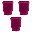 GT GARDEN - Lot de 3 pots pour orchidées avec réserve d'eau - Orchidea pourpre 2 litres - vignette